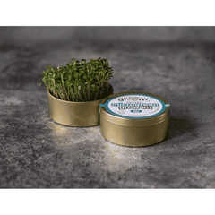 Teeny Greeny Organic Microgreen Grow Kit (Kale)
