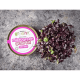 Teeny Greeny Organic Microgreen Grow Kit (Purple Radish)