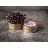 Teeny Greeny Organic Microgreen Grow Kit (Purple Radish)