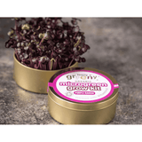 Teeny Greeny Organic Microgreen Grow Kit (Purple Radish)