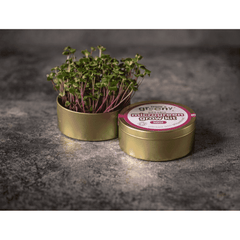 Teeny Greeny Organic Microgreen Grow Kit (Radish)