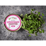 Teeny Greeny Organic Microgreen Grow Kit (Radish)