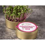 Teeny Greeny Organic Microgreen Grow Kit (Radish)