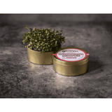 Teeny Greeny Organic Microgreen Grow Kit (Red Cabbage)