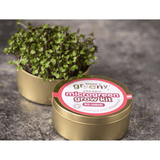 Teeny Greeny Organic Microgreen Grow Kit (Red Cabbage)