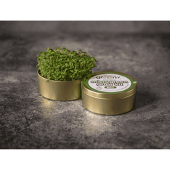 Teeny Greeny Organic Microgreen Grow Kit (Rocket)