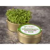 Teeny Greeny Organic Microgreen Grow Kit (Rocket)