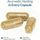 Ayurvediq Wellness Organic Neem Leaf 60s
