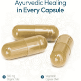 Ayurvediq Wellness Organic Tulsi 60s