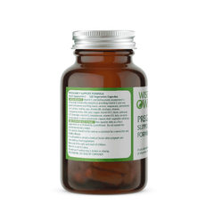 Wise Owl Pregnancy Support Formula 120s