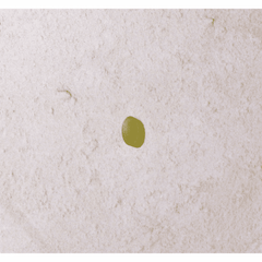 Higher Nature Quercetin & Bromelain 60s