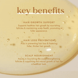 Fushi Root Revival Hair Oil 30ml