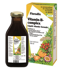 Salus Floradix Vitamin-B Complex Liquid Vitamin Formula 250ml
