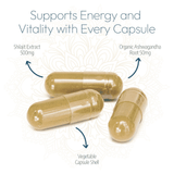 Ayurvediq Wellness Shilajit & Ashwagandha 60s