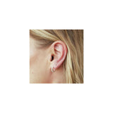 Silver Plated Ear Seed Kit | Acu Seeds