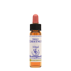 Healing Herbs Ltd Sweet Chestnut 10ml