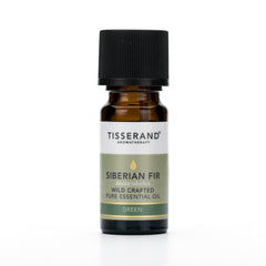 Tisserand Siberian Fir Wild Crafted Pure Essential Oil 9ml