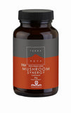 Terranova Mushroom Synergy Super-Blend Powder 40g