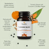 Fushi Turmeric Blend Curcumin C3 & Black Pepper 60s