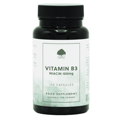 G&G Vitamins Vitamin B3 Niacin 100mg 120s