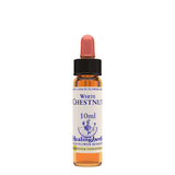 Healing Herbs Ltd White Chestnut 10ml