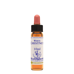 Healing Herbs Ltd White Chestnut 10ml