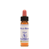 Healing Herbs Ltd Wild Rose 10ml