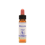 Healing Herbs Ltd Willow 10ml